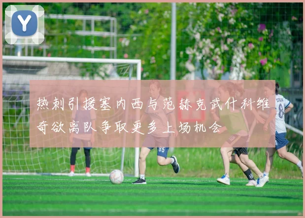 热刺引援塞内西与范赫克武什科维奇欲离队争取更多上场机会